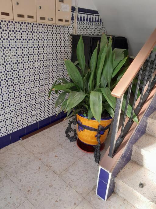 Disfruta De Un Barrio Tranquilo Lägenhet Alcalá de Guadaira Exteriör bild
